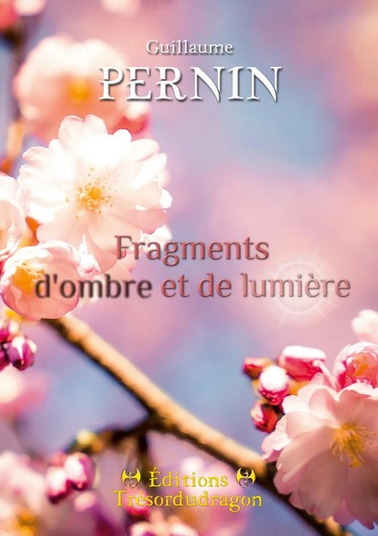 Guillaume Pernin | Fragments D'ombre Et De LumièRe | Taschenbuch | FranzöSisch-image