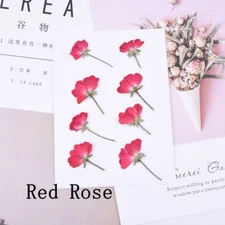 8PCS real side Pressed dry rose flowers for art craft, pink and red FCD26