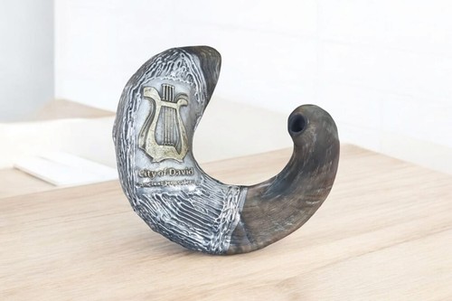 Gran enorme shofar enchapado en plata esterlina carnero cuerno 24" - 60 cm arpa de David - Imagen 9 de 14