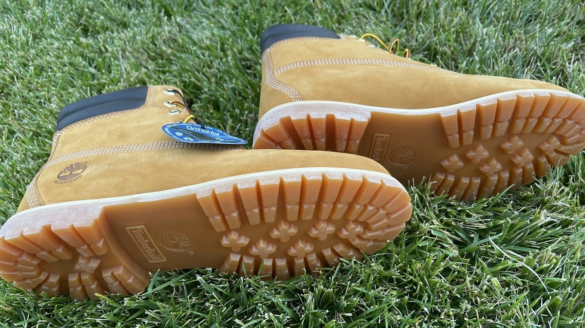 New TIMBERLAND 6-Inch Premium Ortholite Waterproof Boots, Wheat