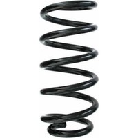 Spidan 87216 Fahrwerksfeder FüR Mini Clubman R55