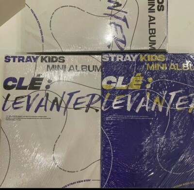 stray kids スンミン サイン levanter スキズ スンミン サイン levanter stray kids