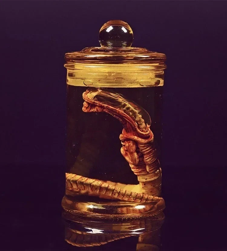 Alien Jar Xenomorph Specimen Facehugger Embryo Glass Jar Movie Prop Replica