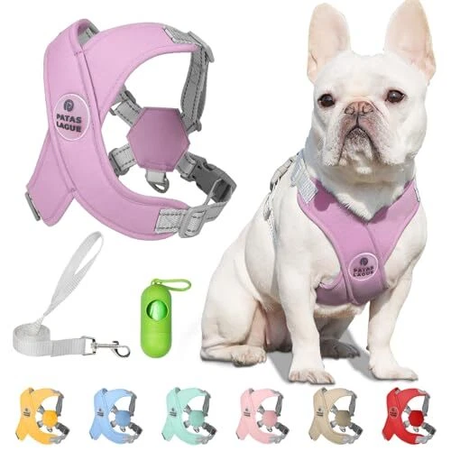 Dog Harness with Leash Set M (Neck 19.3-23.3'' Chest 22.5-25.6'') Purple