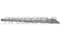 Leiste Dekorativ/SchüTzende, Gitter HeizköRper BM0281223 Prasco FüR BMW
