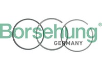 Kolbenringsatz Borsehung B19054 FüR C5 A4 B5 Audi B6 A6 8D2 4B5 8E2 4B2 Avant