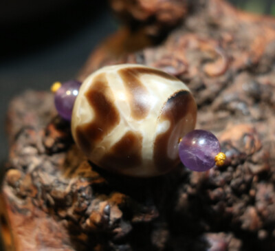unique Magic Power Tibetan Old Agate Lotus base Totem Drump shape dZi Bead