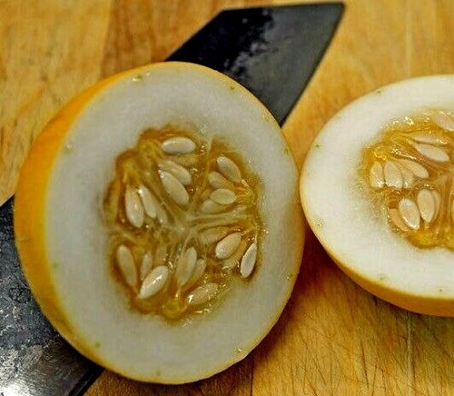 Mango Vine Peach Melon 25 Seeds Organic Melons Early Prolific Heirloom Garden - Picture 7 of 7