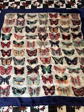 Vintage Butterfly Print Scarf Square Multicolor Blue Border 30x31