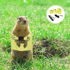 1 Set Small Pet Vest Harness: Ferret Harness And Leash Kit - Breathable Small