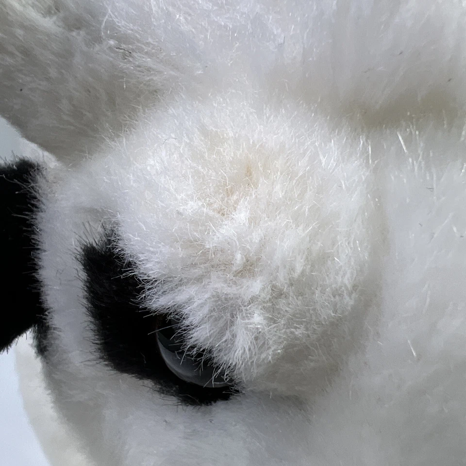 Webkinz Signature Normande Cow WKS1032 Ganz Plush Stuffed Animal NO Code - Image 4 of 4