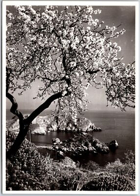 Taormina L'Isola Bella E Mandorli In Fiore Italy Real Photo RPPC Postcard