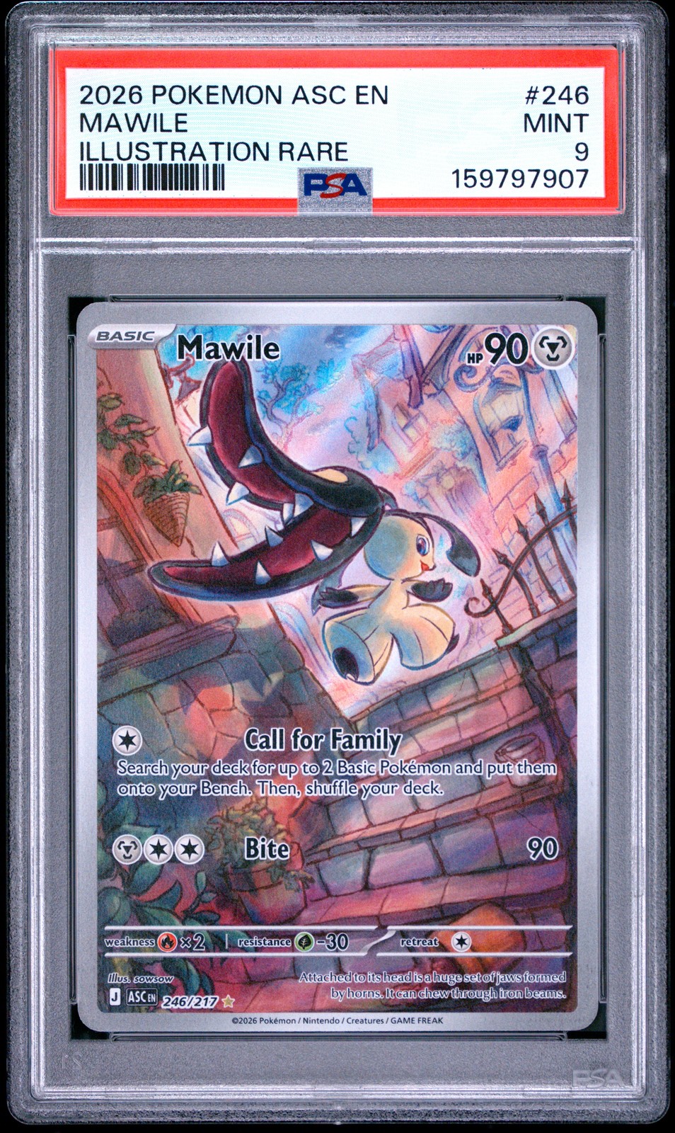 Mawile #246