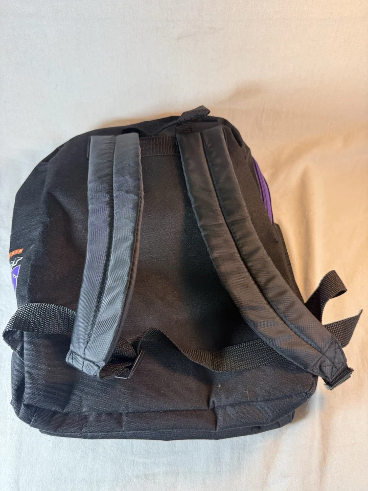 VINTAGE SACRAMENTO KINGS GLORY YEARS BACKPACK UNWORN SOME WEAR FROM STORAGE ZZ - Image 4 of 4
