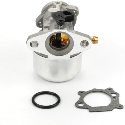Le Carburateur Avec Joint Convient Pour BRIGGS & STRATTON 799868 498254 497347 497314 498170 694202 Tondeuse Agazon Electrique De Remplacement De Moteur 62224852 Le Carburateur Avec Joint Convient Pour BRIGGS & STRATTON 799868 498254 497347 497314 498170 694202 Tondeuse Agazon Electrique De Remplacement De Moteur 62224852