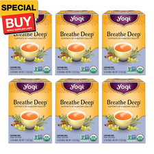 Tea Breathe Deep Tea - 16 Tea Bags per Pack 6 Packs - Organic Respiratory Tea