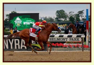 JUSTIFY wins Triple Crown Belmont Stakes 11x14 Double Matted 8X12 Photo print 