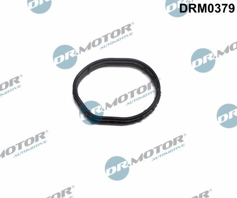 Dr.Motor Automotive DRM0379 Dichtung, SteuergehäUsedeckel FüR Ford-image