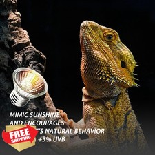 KOHEOPT Turtle Heat Bulb 75W UVA 4PK E26 Reptile Lamp Terrarium Bulb