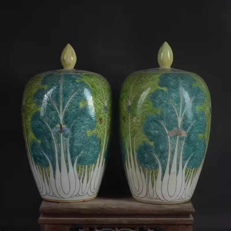 A pair Chinese Qing Kangxi Famille Rose Porcelain Cabbage Pattern Pot 7.9"