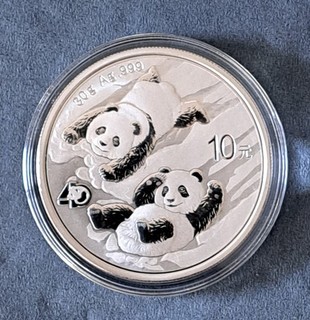 Silbermünze China Panda 2022. 30g. Silber stgl.