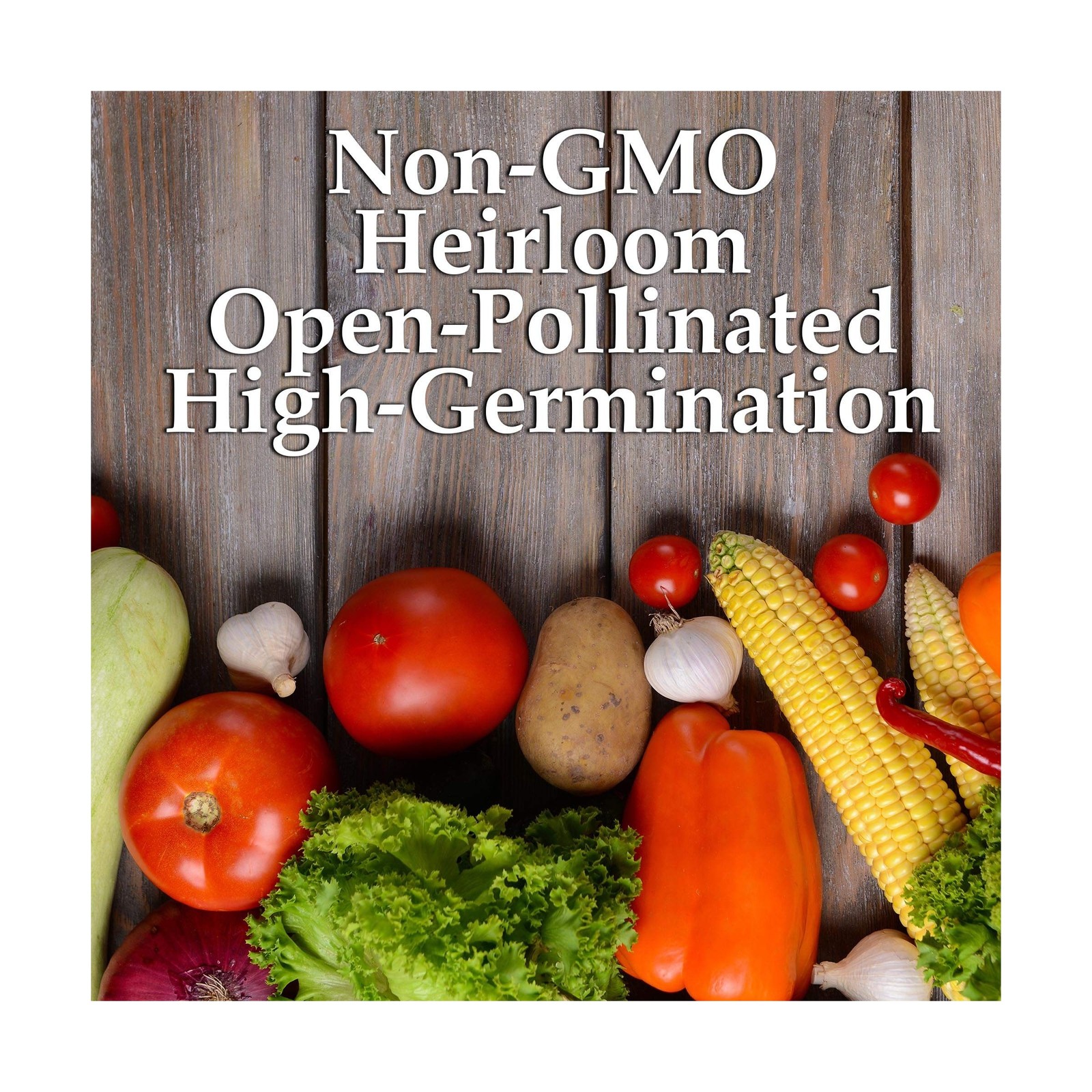 Mountain Valley Seed Company Vegetable Garden Can 50,000+ Seeds 16 Varieties ...