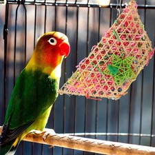Chewing Fun Toy for Bird Parrot Decorative Paper Toys Cage Accessories