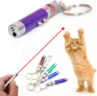 Laser Pointer Pen Visible Red Beam Lazer Light Cat dog presentation