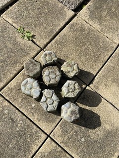 Reclaimed Scoria Blocks