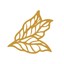 PremiumTobacco