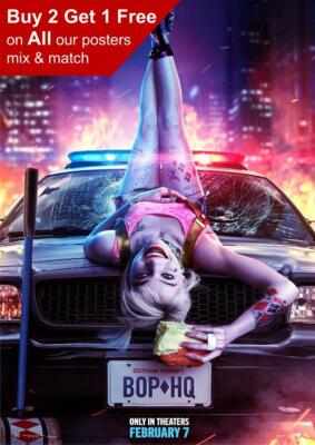 Birds Of Prey Harley Quinn 2020 Film Teaser Poster A5 A4 A3 A2 A1