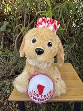 Gemmy Animated Singing Valentine Puppy Plush  You  re the Sweetest   See Video
