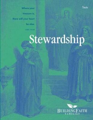 Stewardship Test - Paperback By Demme, Steven - VERY GOOD