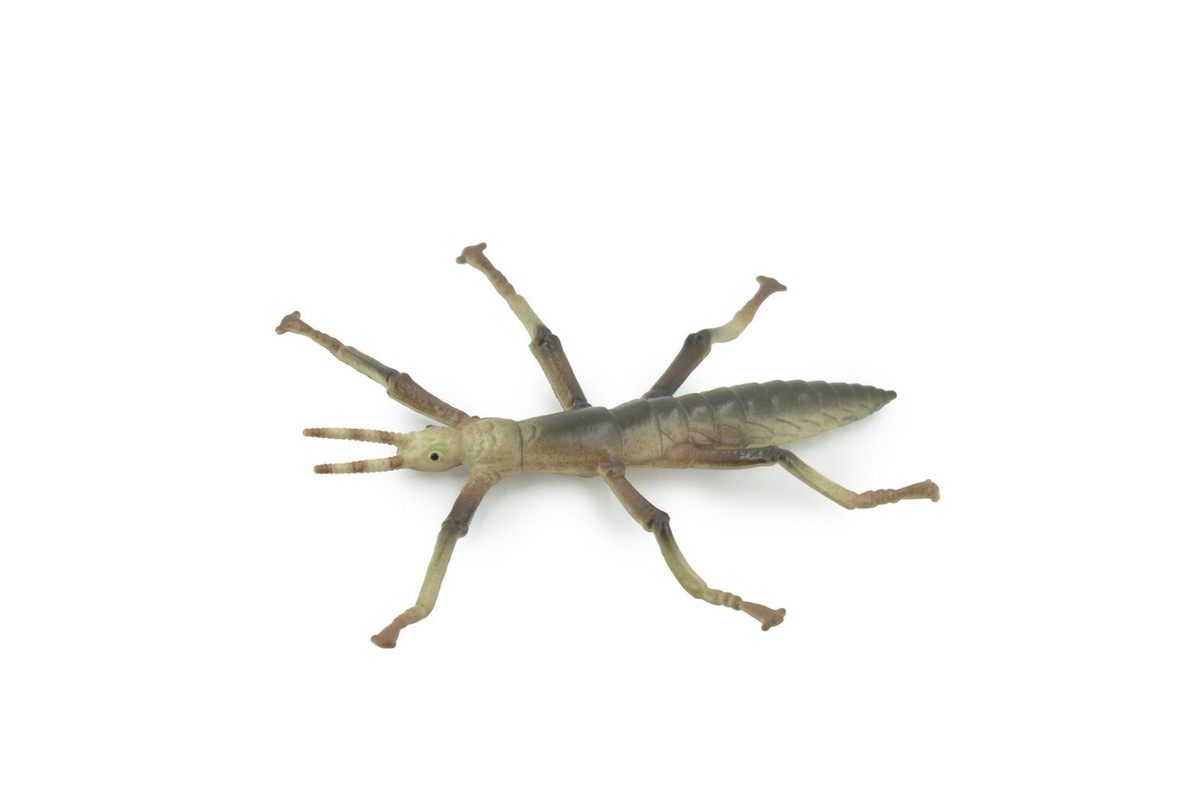 Toy Stick Insect Stick-Bugs Walking Rubber Insect Realistic Model