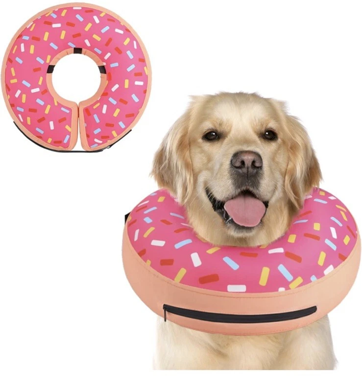 Donut for dogs 2025 after surgery