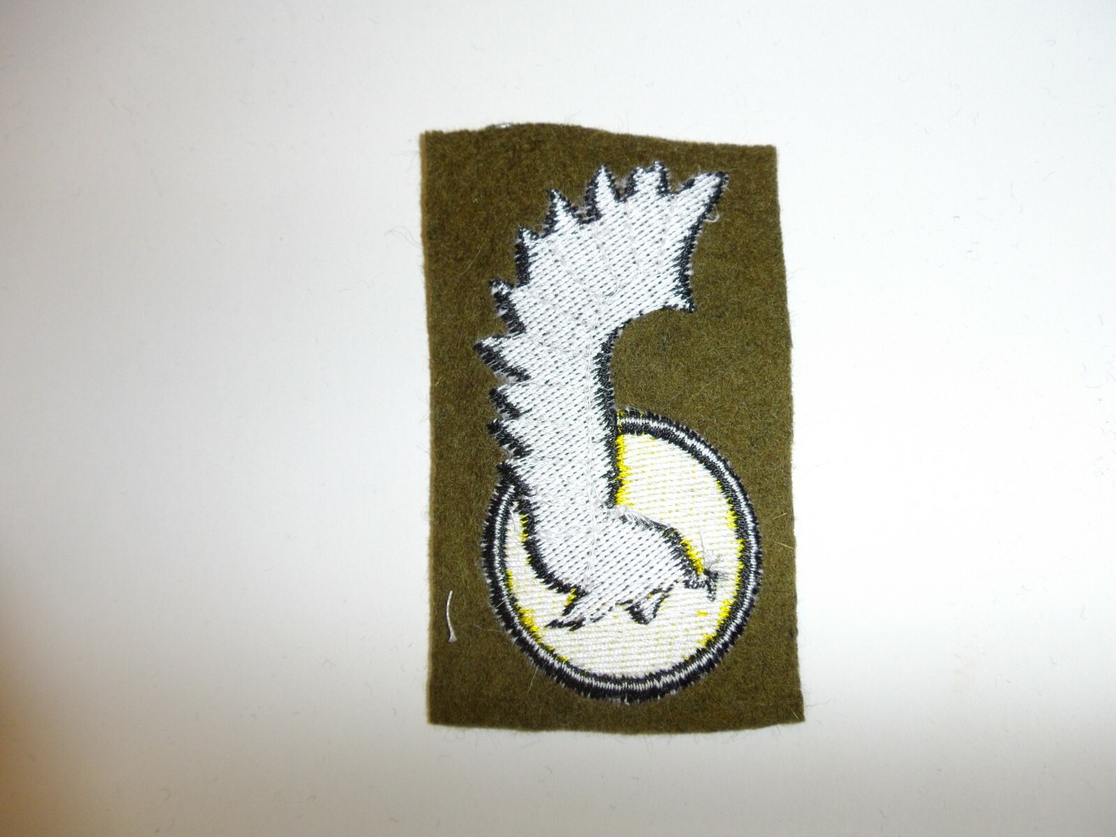 e3839 WW 2 Poland Polish Army 1st Armored Division IR18T