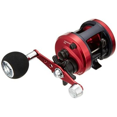 リール Daiwa DYNASTAR 250 Daiwa DYNASTAR 250 Baitcasting Reel From Japan | eBay