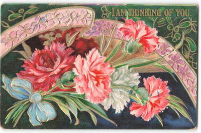 I Am Thinking of You illustration of carnation flowers VTG Postcard CG1.
