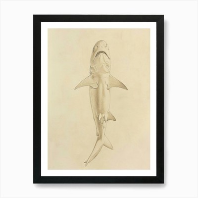 Phoebefy A Pencil Crayon Zeichnung von gerahmtem Wandbild Poster Leinwanddruck Bild