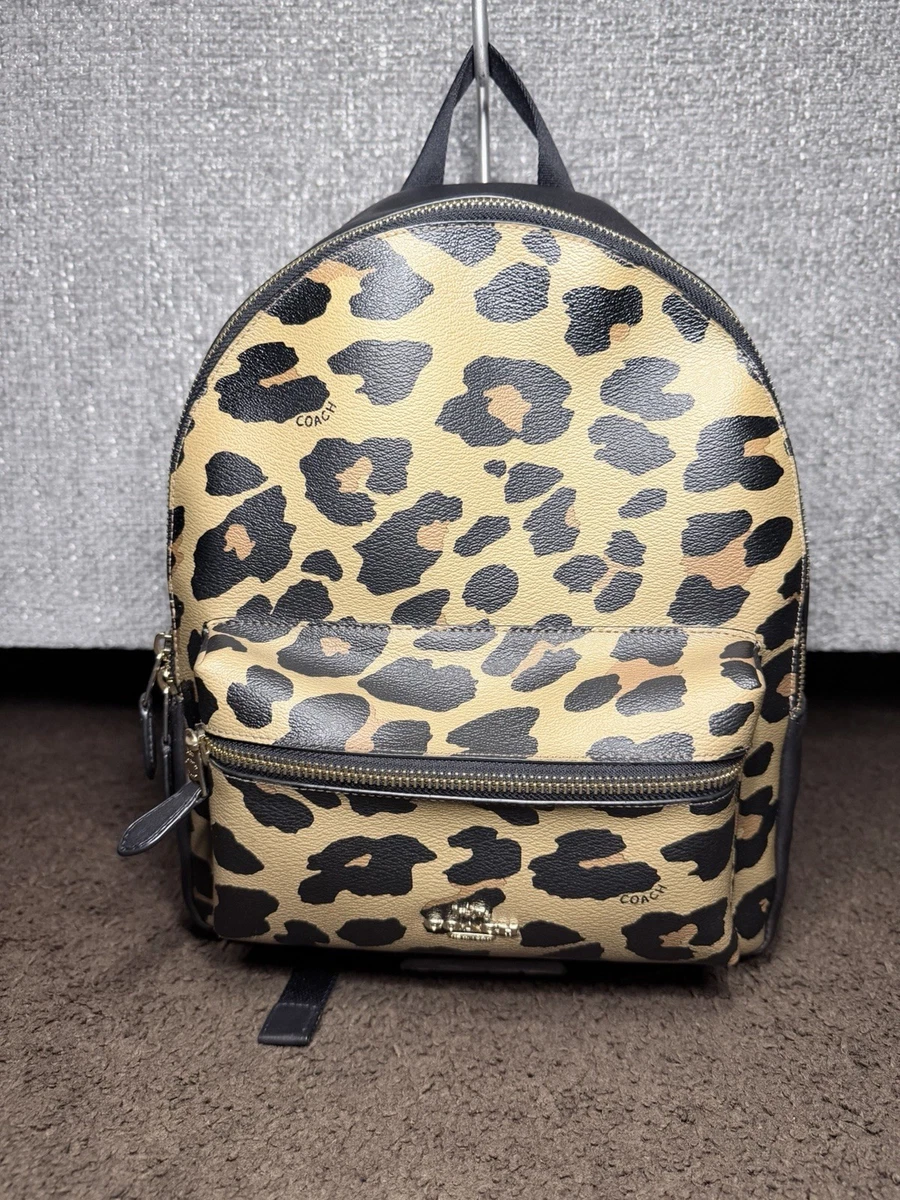 cheer coach backpack & Dance Team – thePoint.Fan OKUMA AVENTA 5