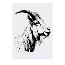 'goat' Temporary Tattoos / Transfers TO00062489