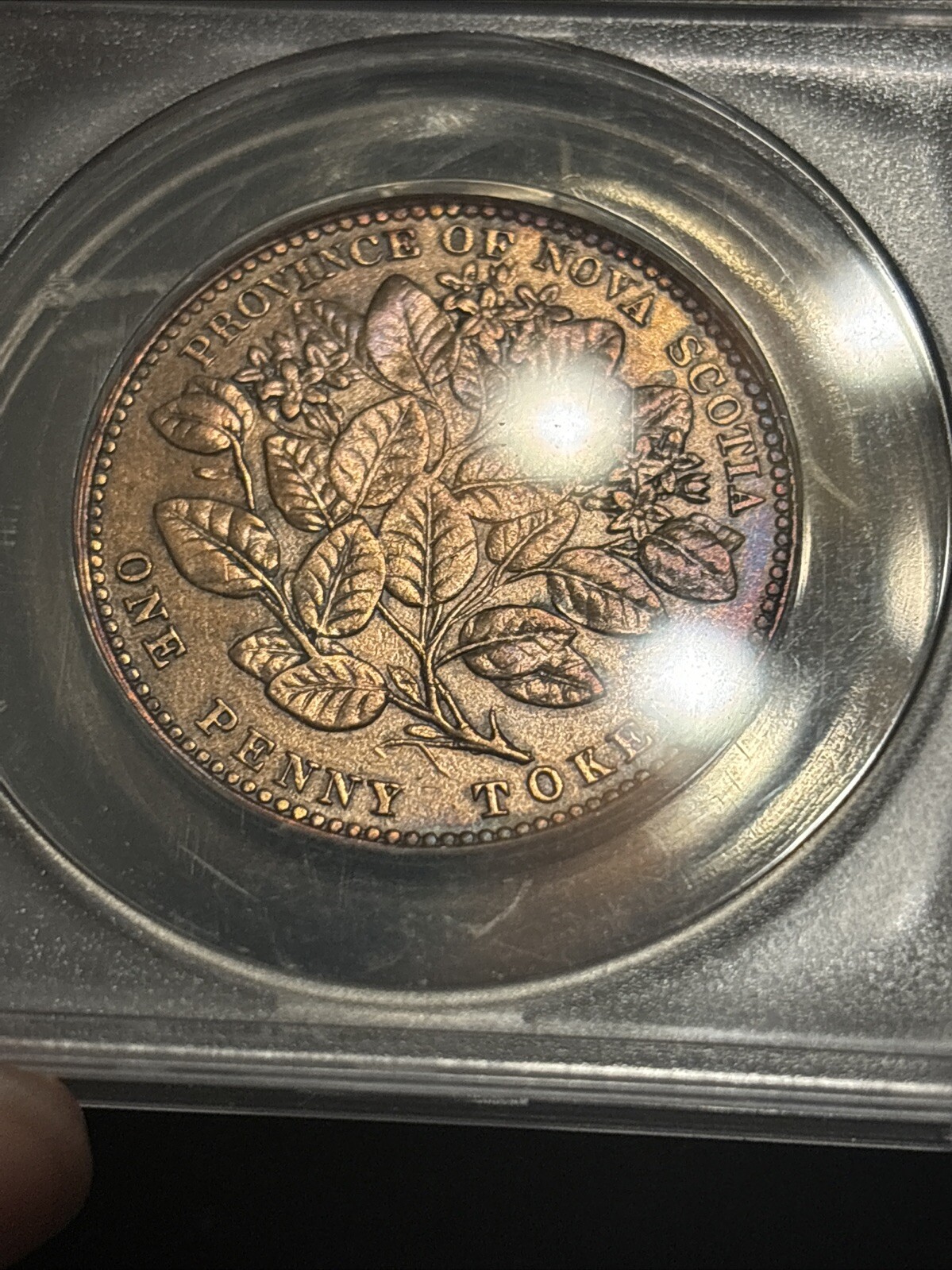 Picture 13 of 20