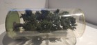 Picture 2 of 5