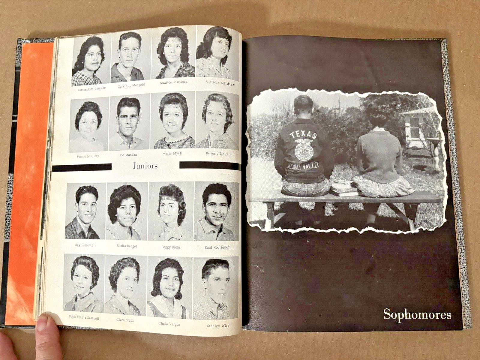 Picture 12 of 12