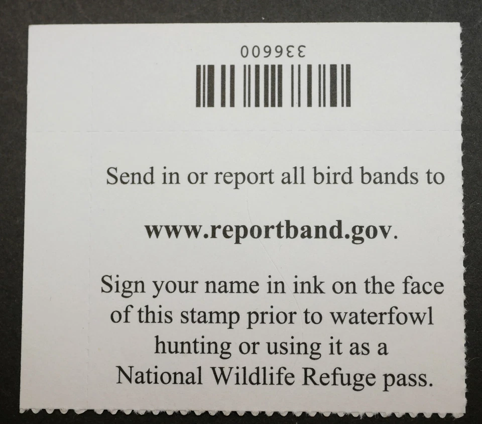 RW88 Federal Duck Hunting Stamp w/ block #, MNH, OG, 2021 stamps collectibles - Image 2 of 2