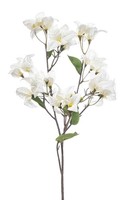 Artplants KüNstlicher Zweig Bougainvillea Mowler Mit BlüTen, Creme, 70Cm