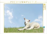 Calvendo Puzzle The Little Lamb Is Lying On The Dike | 1000 Pieces, Finished Siz