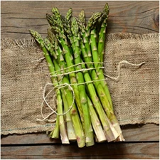 Mary Washington Asparagus Seeds | NON-GMO | Heirloom | Fresh Garden Seeds