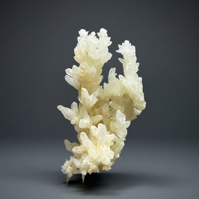 High-Grade Aragonite Flower Coral Calcite Specimen   Wenshan Mine, Yunnan China