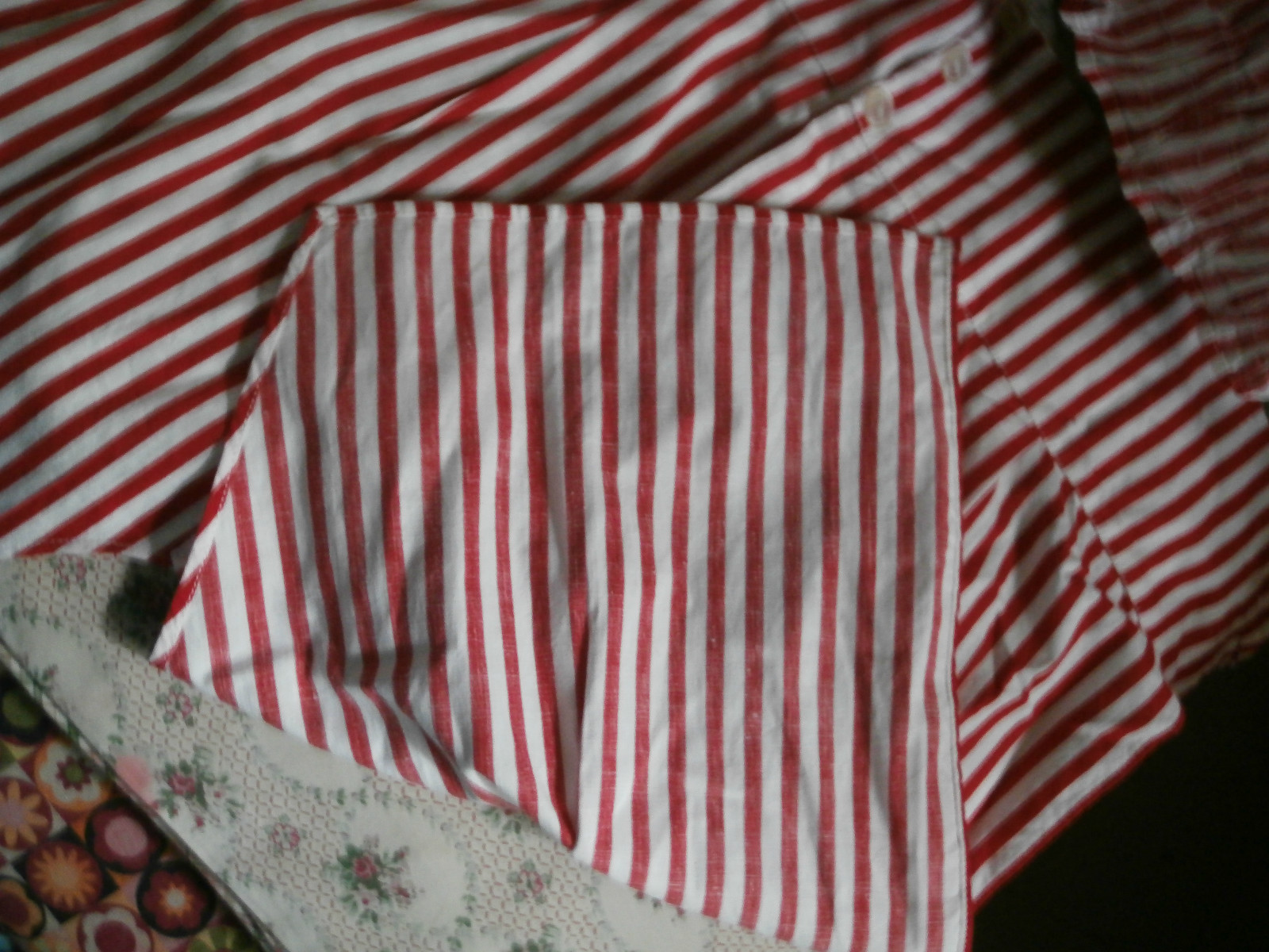 Foto 5 di 5
